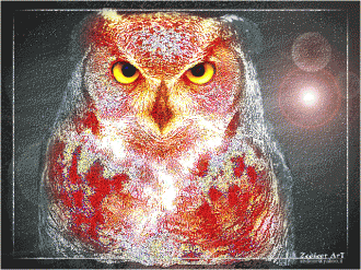 BirdOwlGlitter